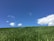 A well-maintained lawn with fresh green grass and a clear blue sky overhead.