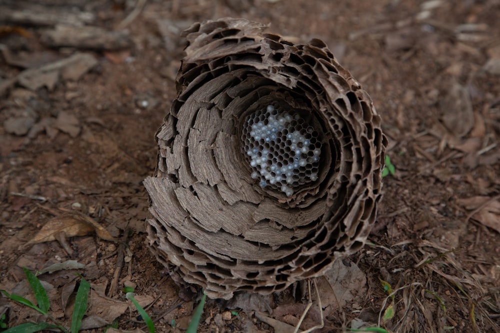 a close up of a tire