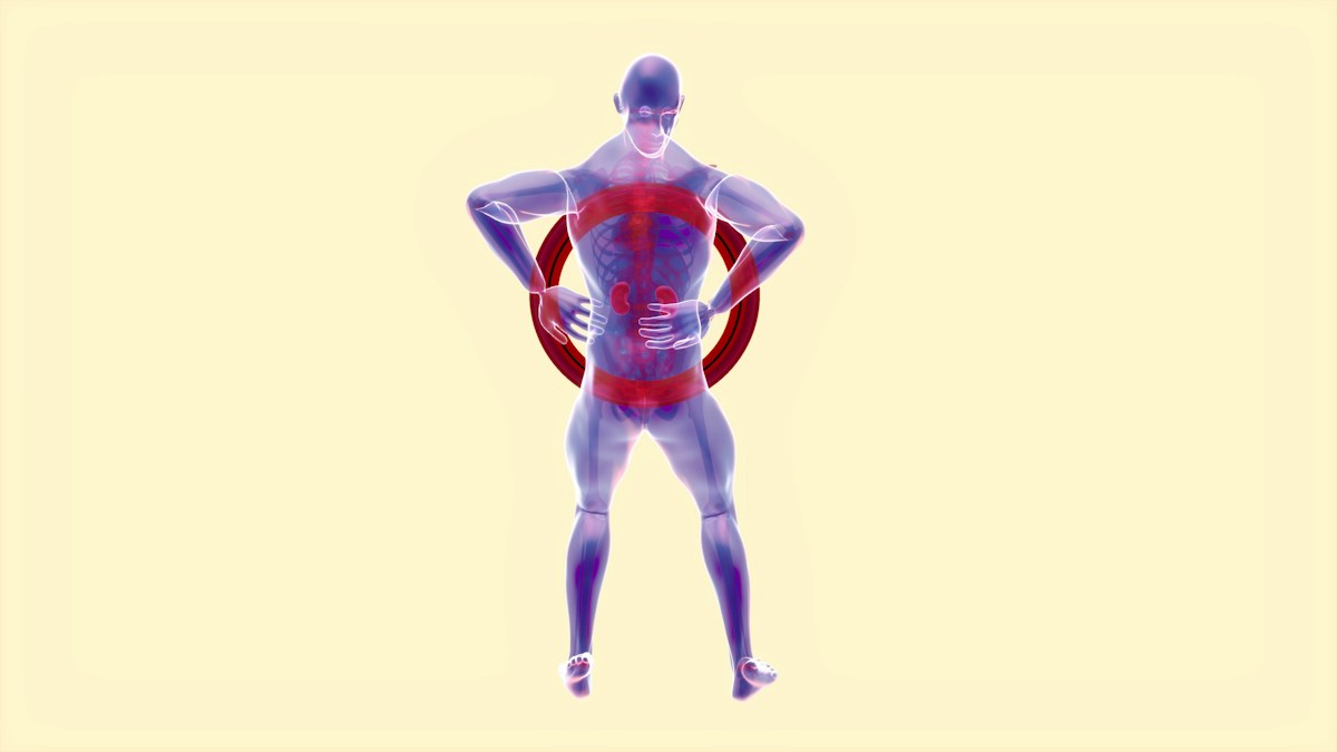 Descriptive text for the image