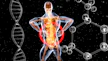 a skeleton with a red and blue body suit and long legs