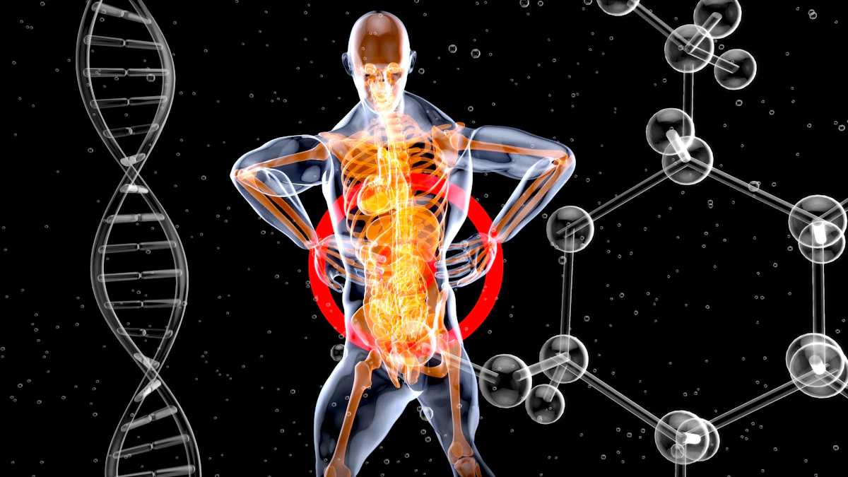 Anatomical illustration of the spine and skeleton showing how disc bulges and herniations can press on spinal nerves