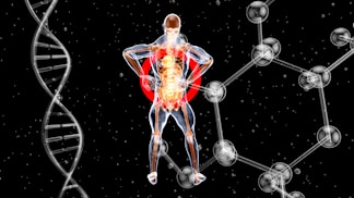 Kidney Transplants