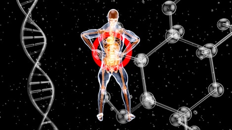 Kidney Transplants