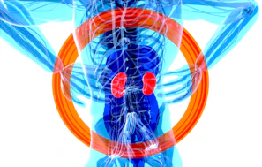 a blue and red jellyfish