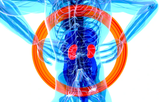 Circulation and nerve health at BioWave Regeneration Houston TX