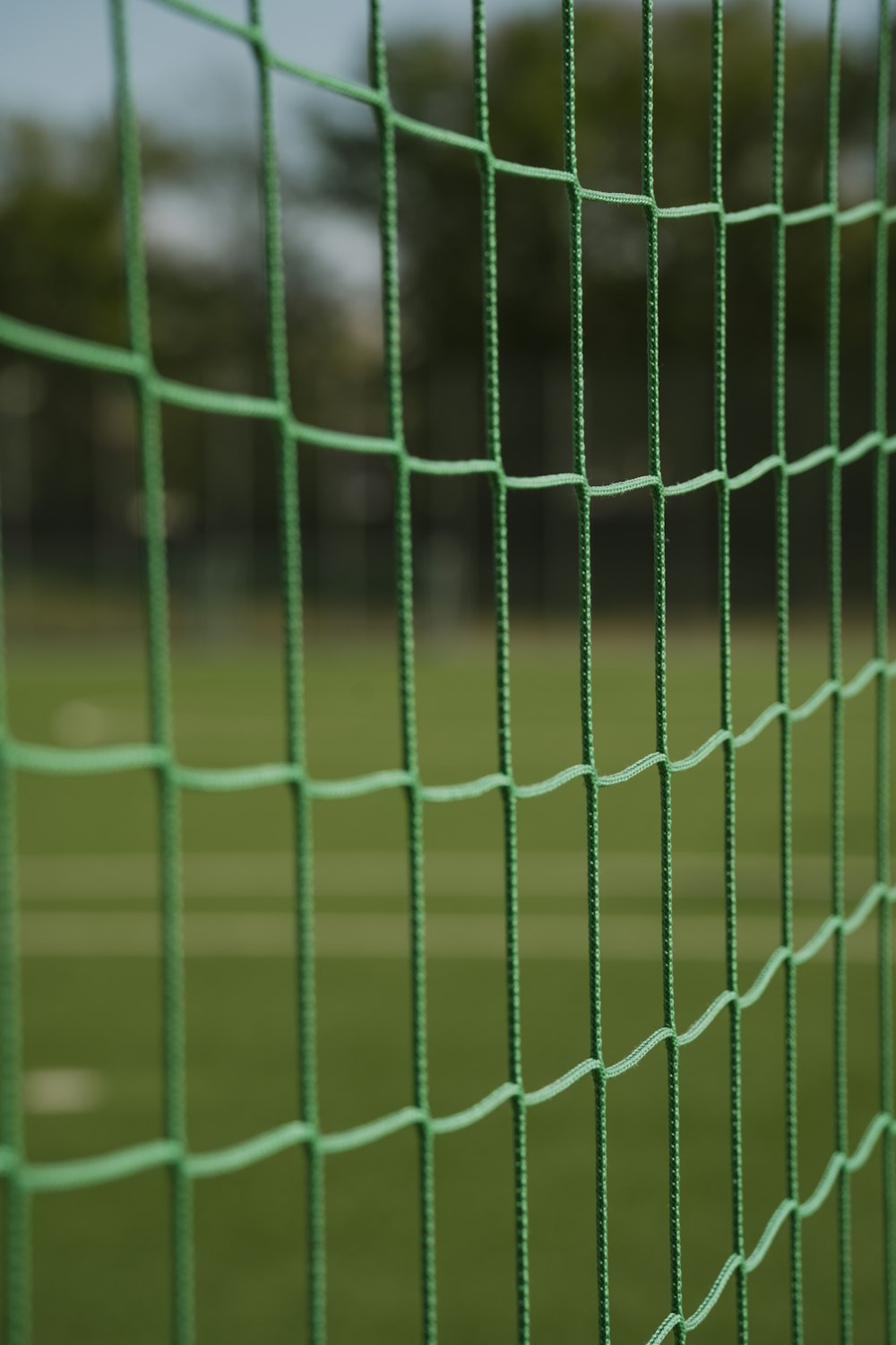 a green wire fence