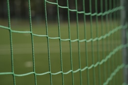 a green wire fence