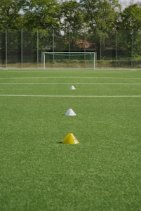 a group of objects on a grass field