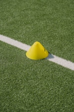 a yellow rubber duck on a green field