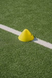 a yellow rubber duck on a green field
