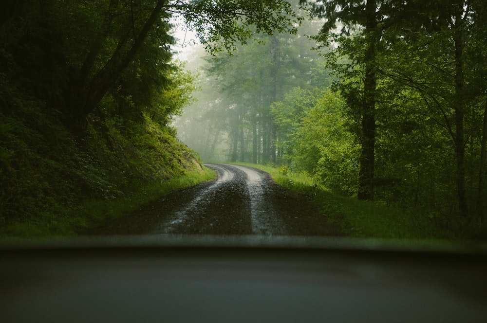 a view of a forest