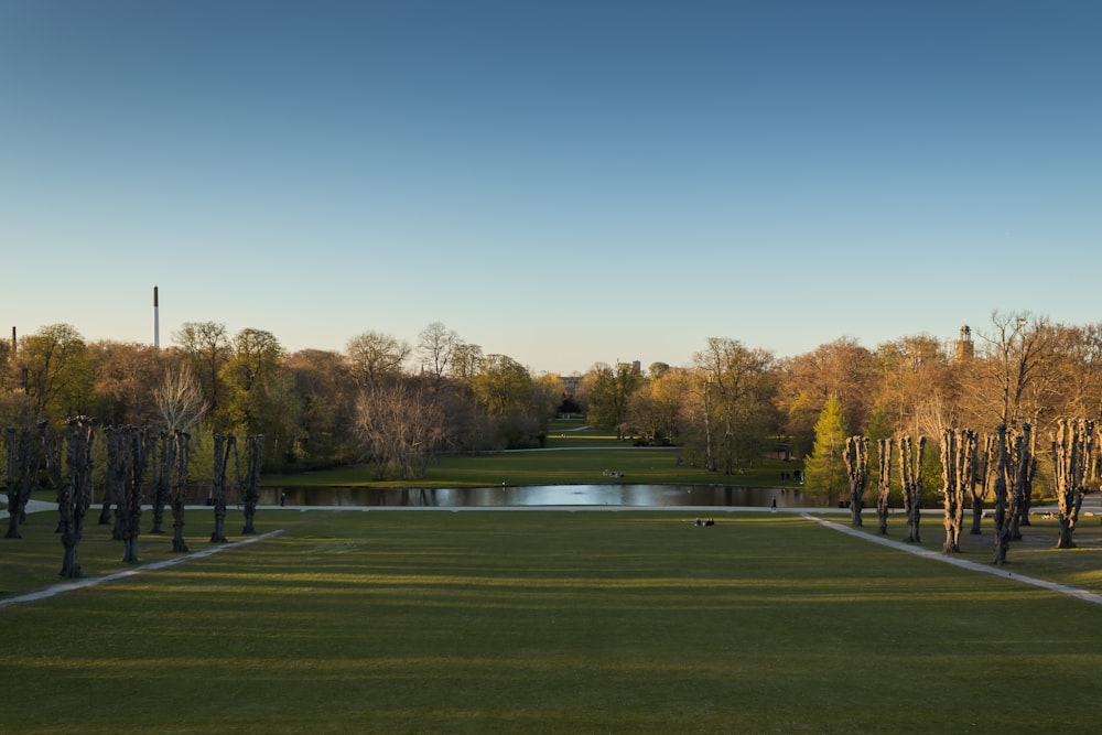 a large green field with trees around it