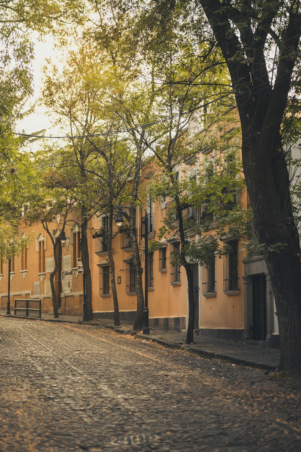 a building with trees around it