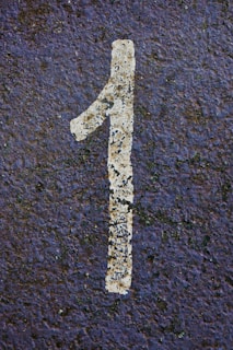 a white and brown snake on a black surface