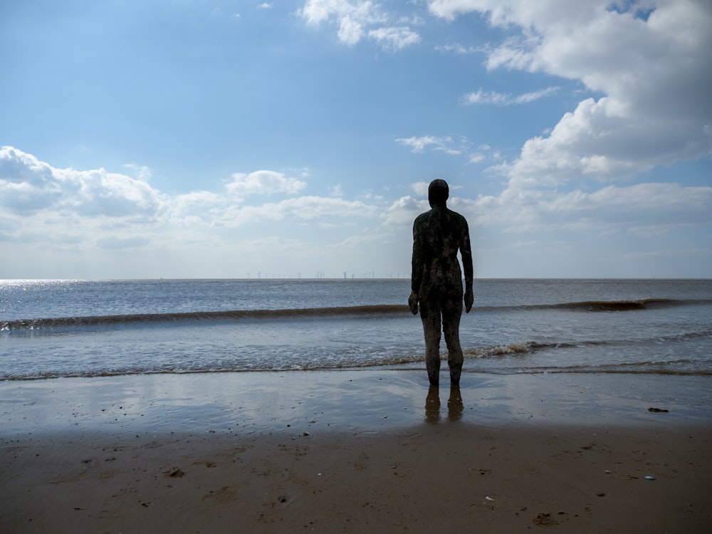 a person standing on a beach