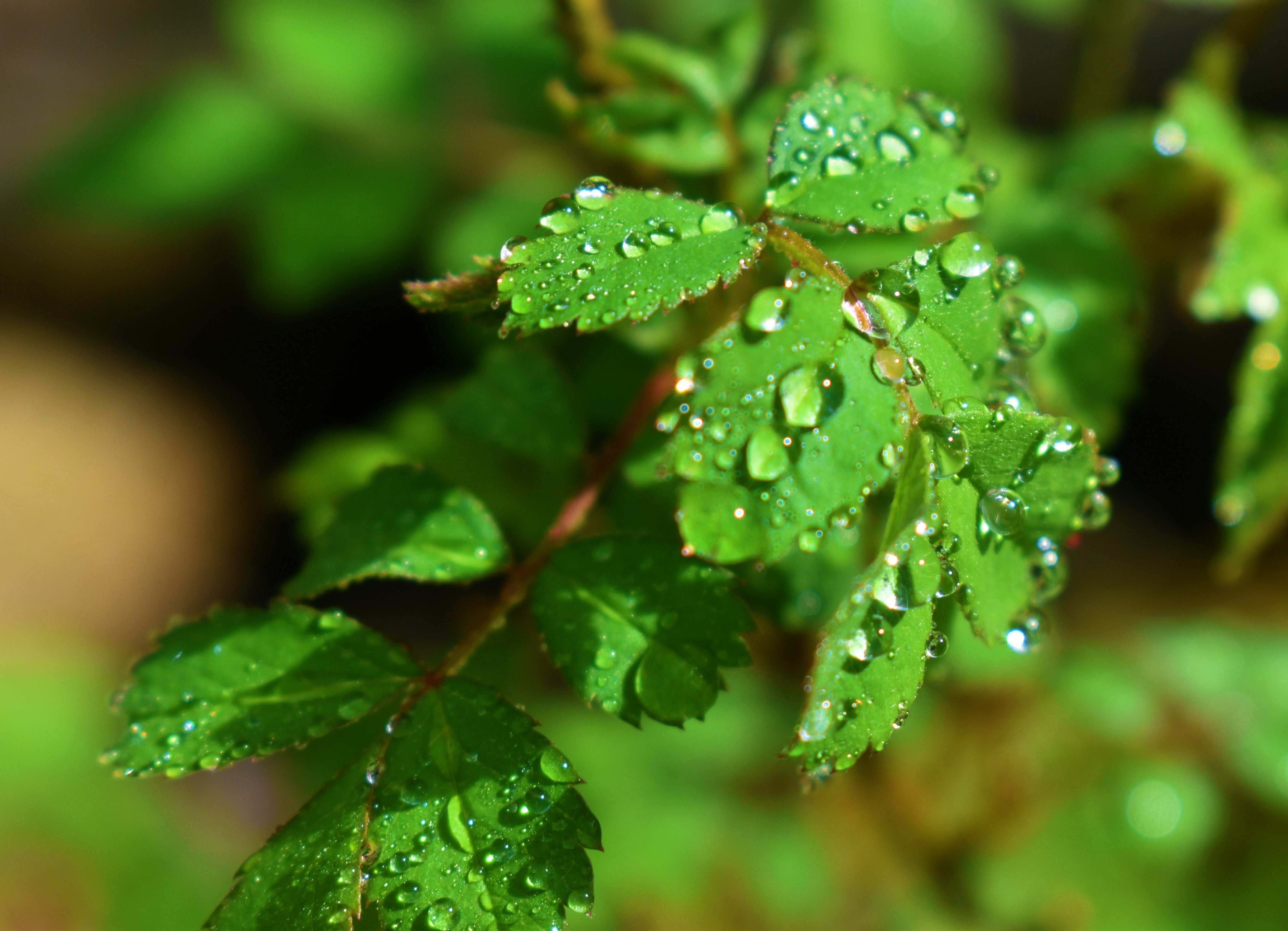 Photo by jasminesphtgrphy