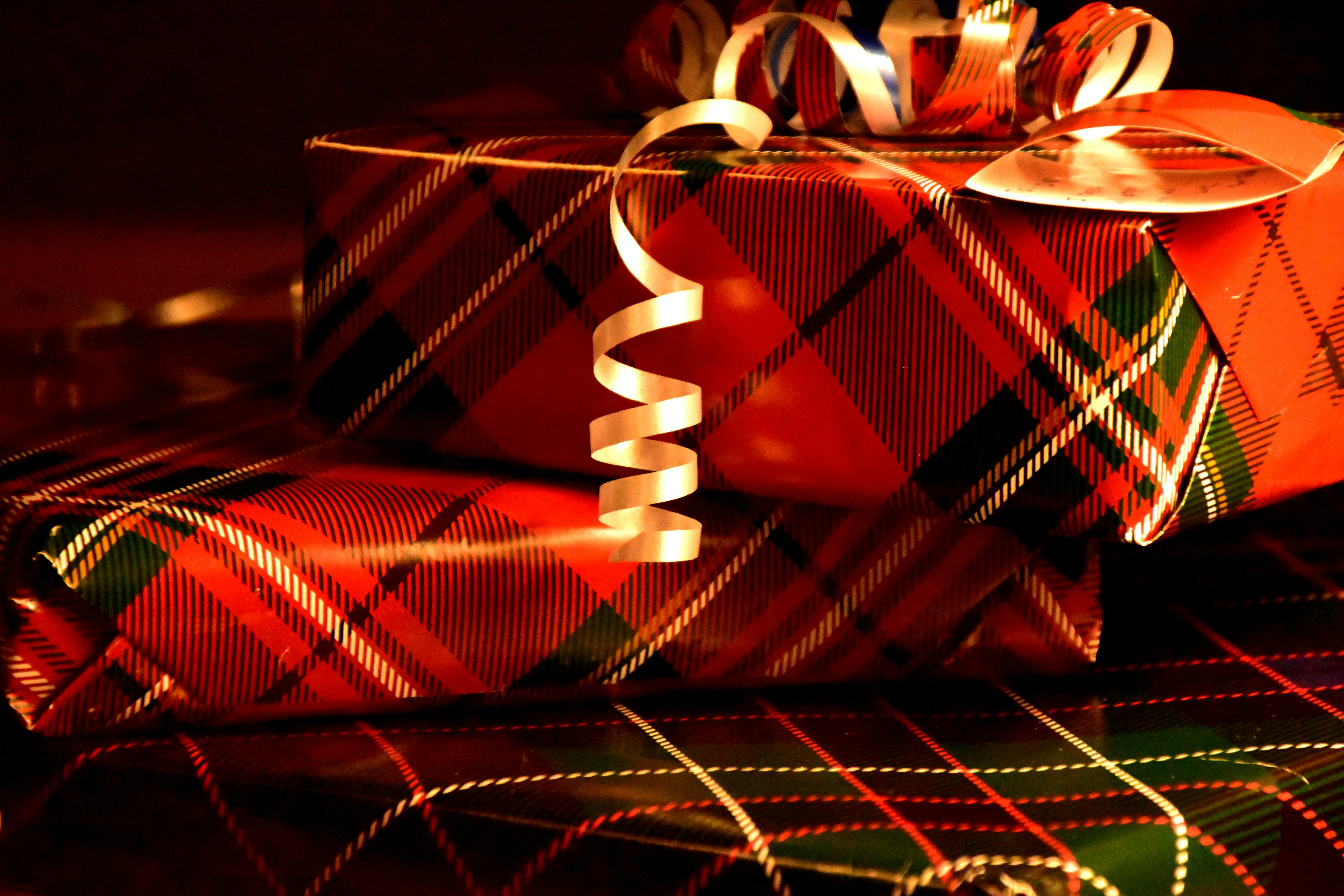 Holiday Shower Curtain