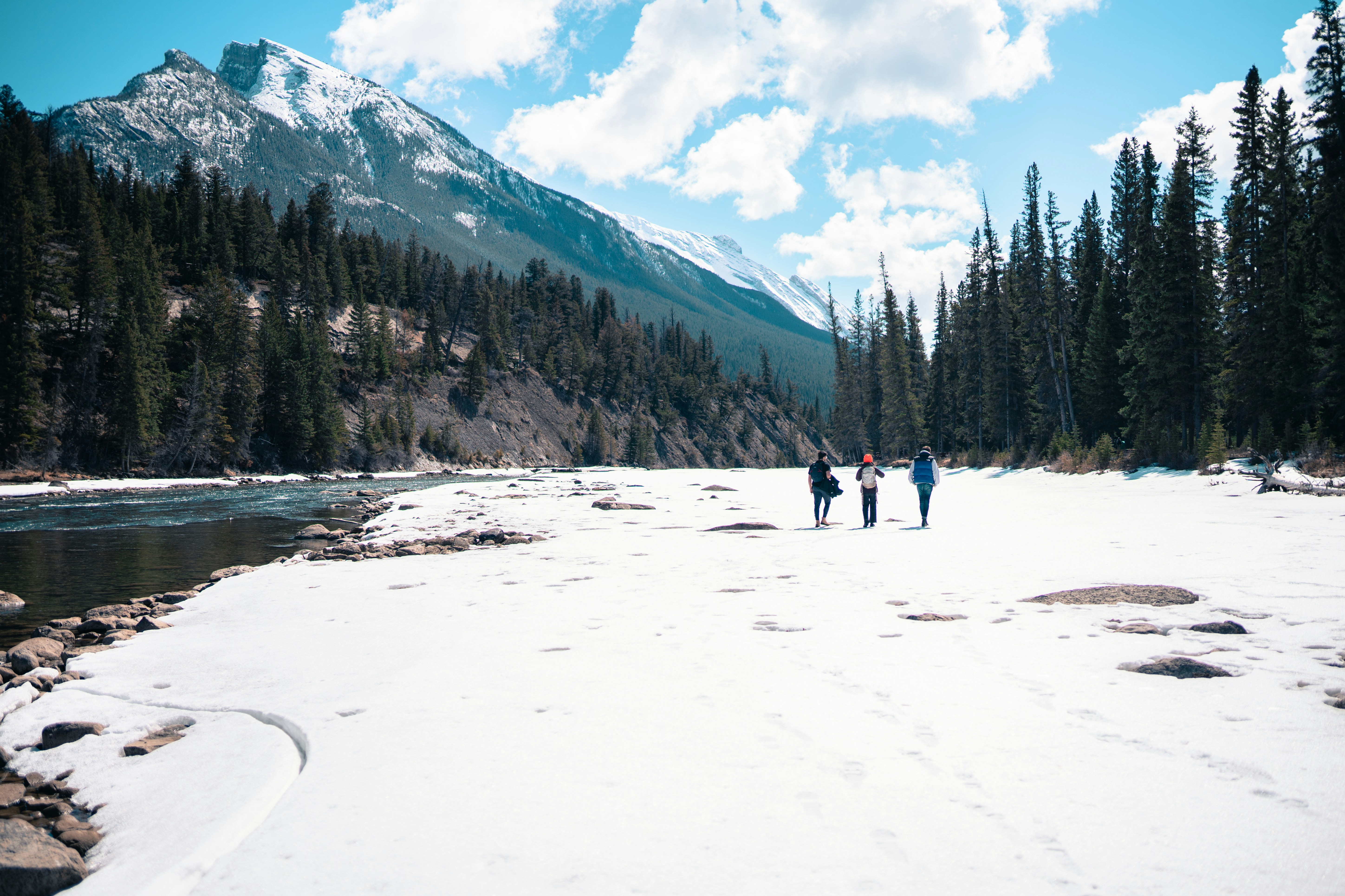 Photo by stuartdavies