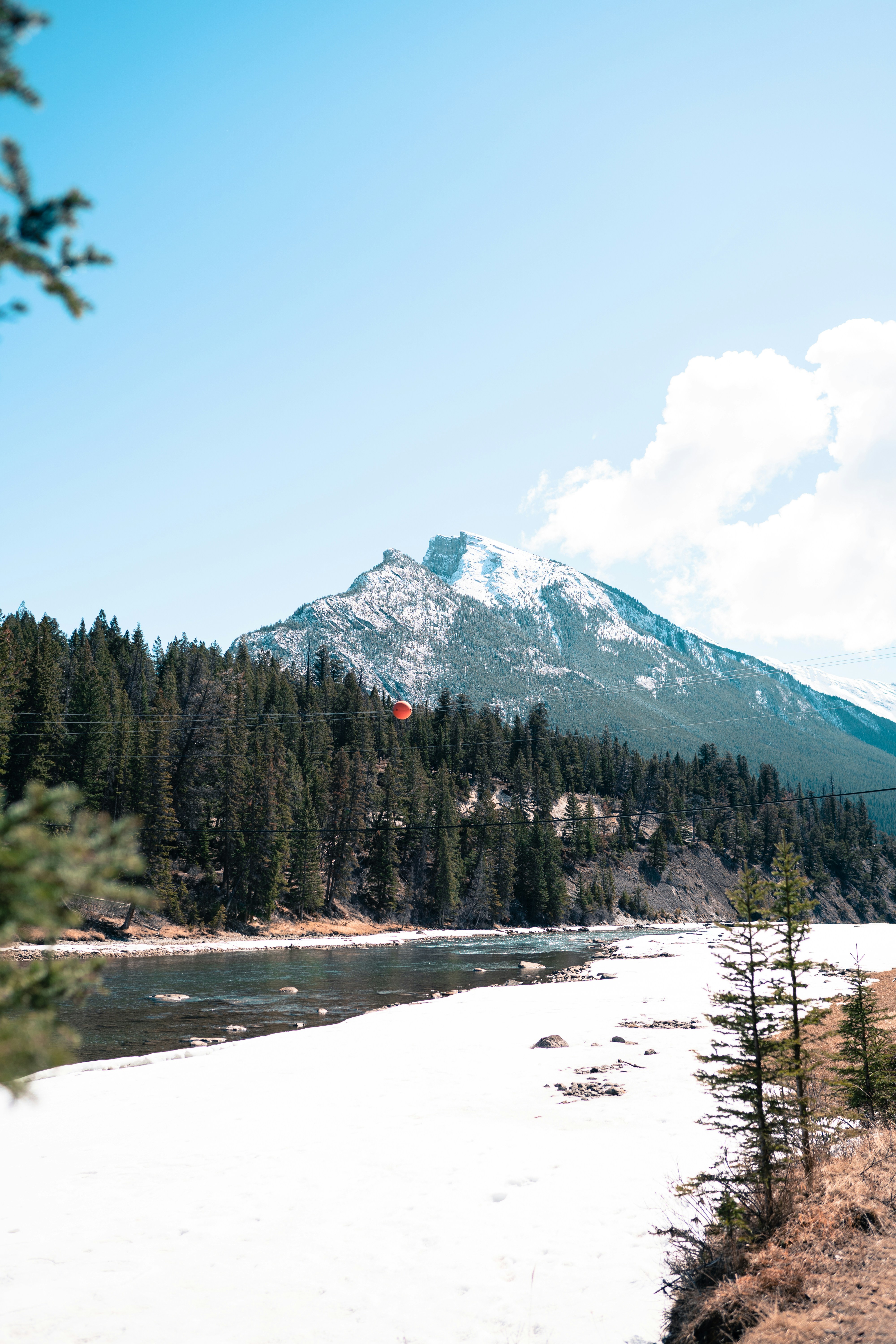 Photo by stuartdavies