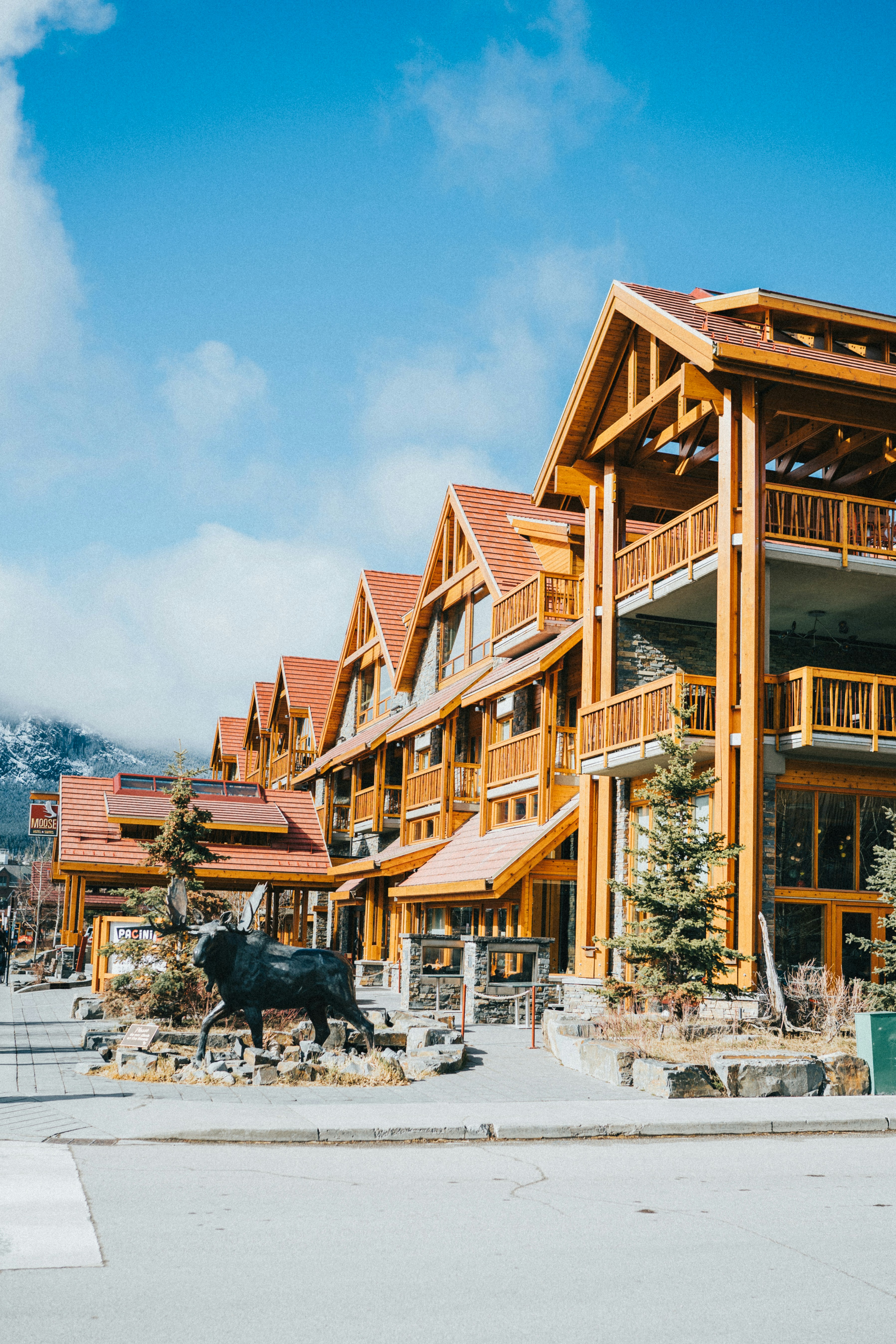 Photo by stuartdavies