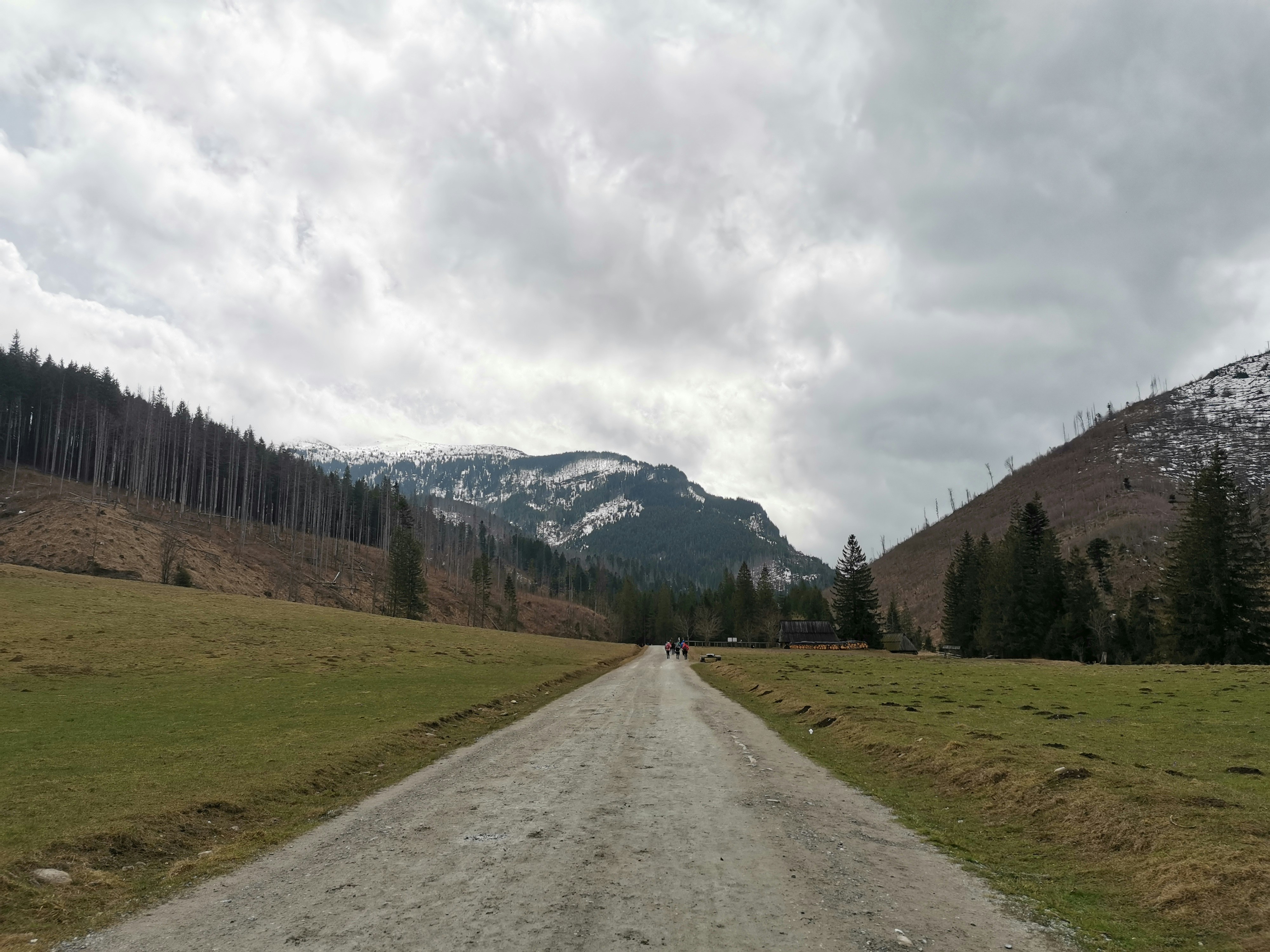a road with grass and trees on the side and mountains in the background