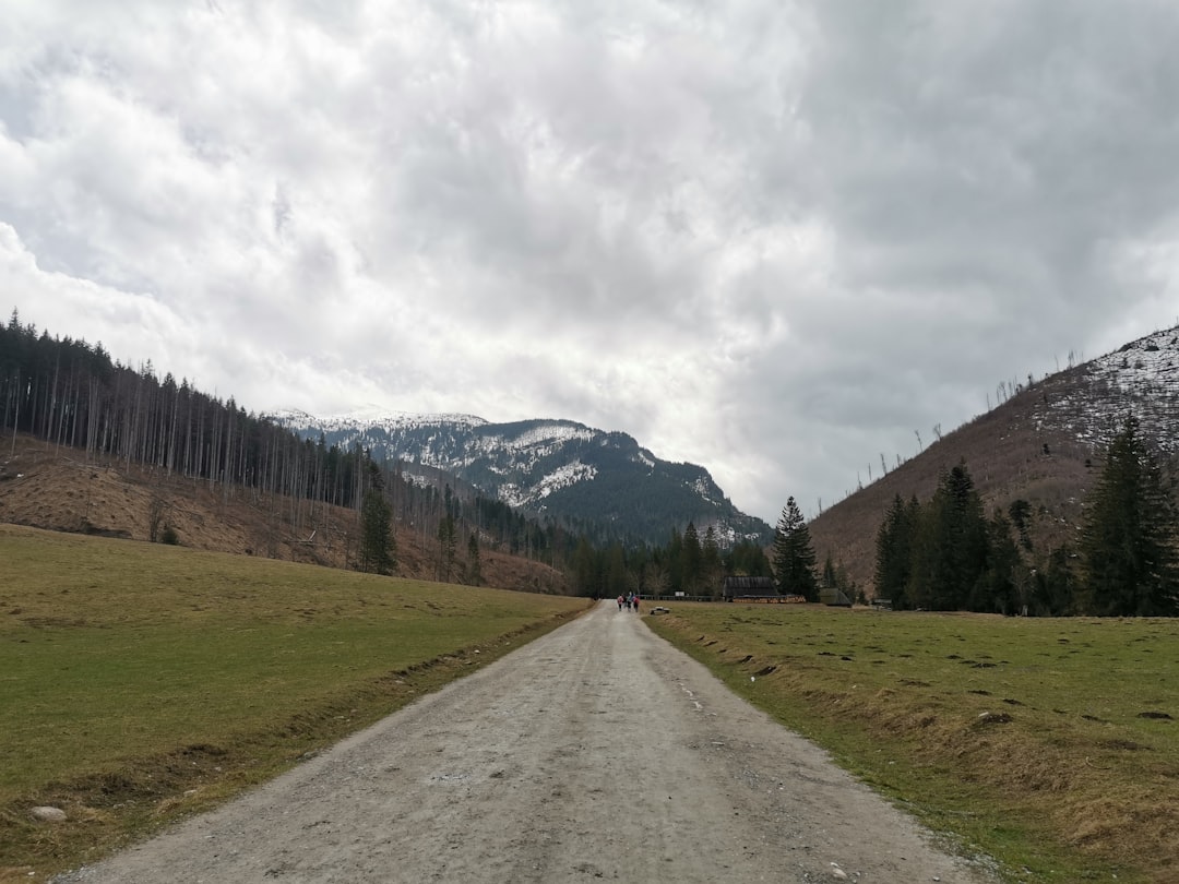 a road with grass and trees on the side and mountains in the background,