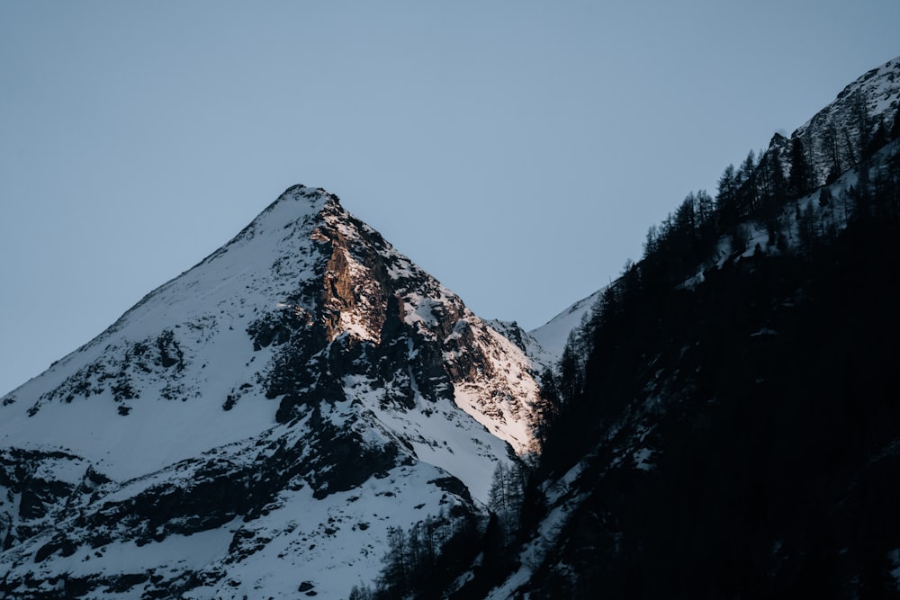 a snowy mountain with trees