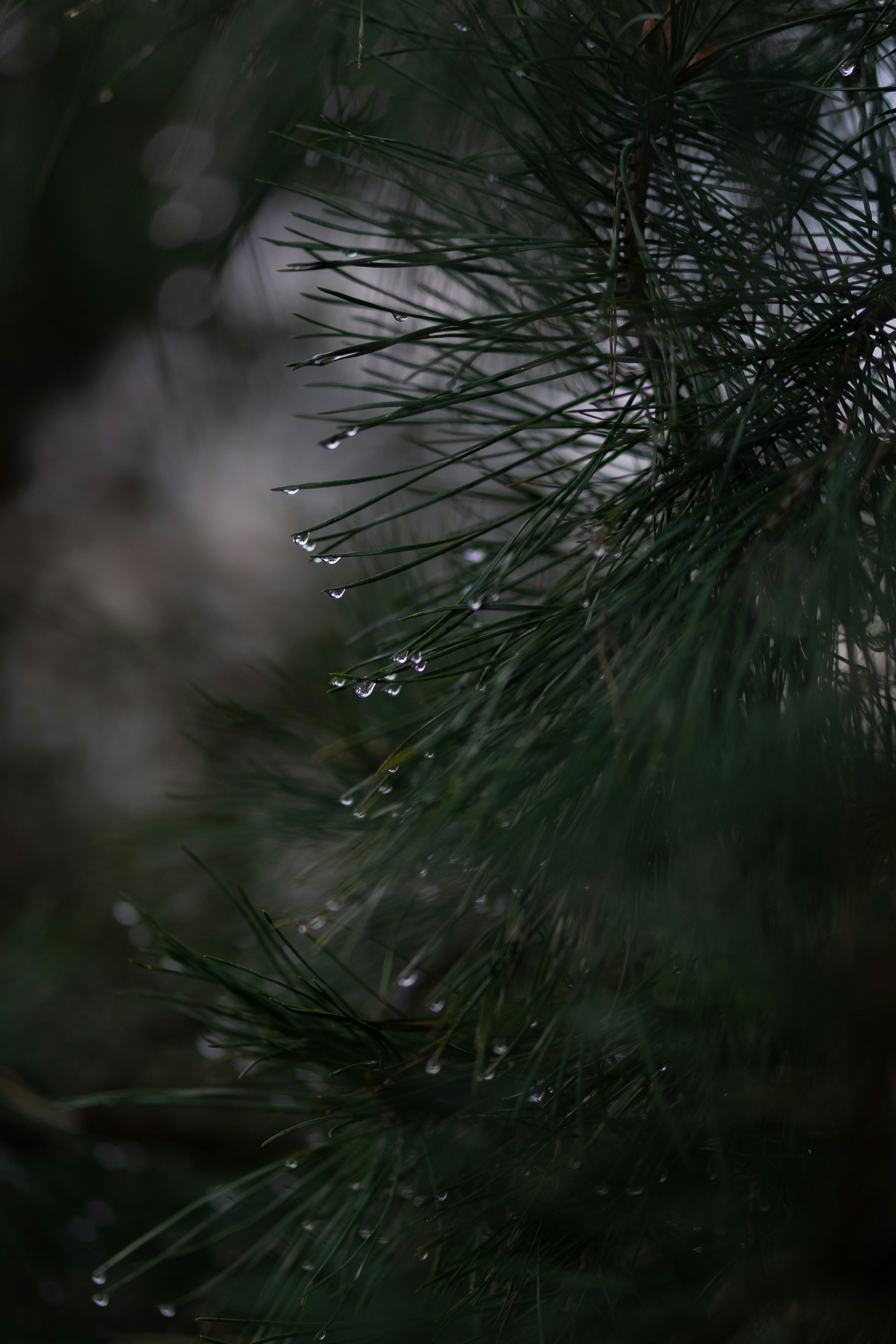 Photo by eugenechystiakov