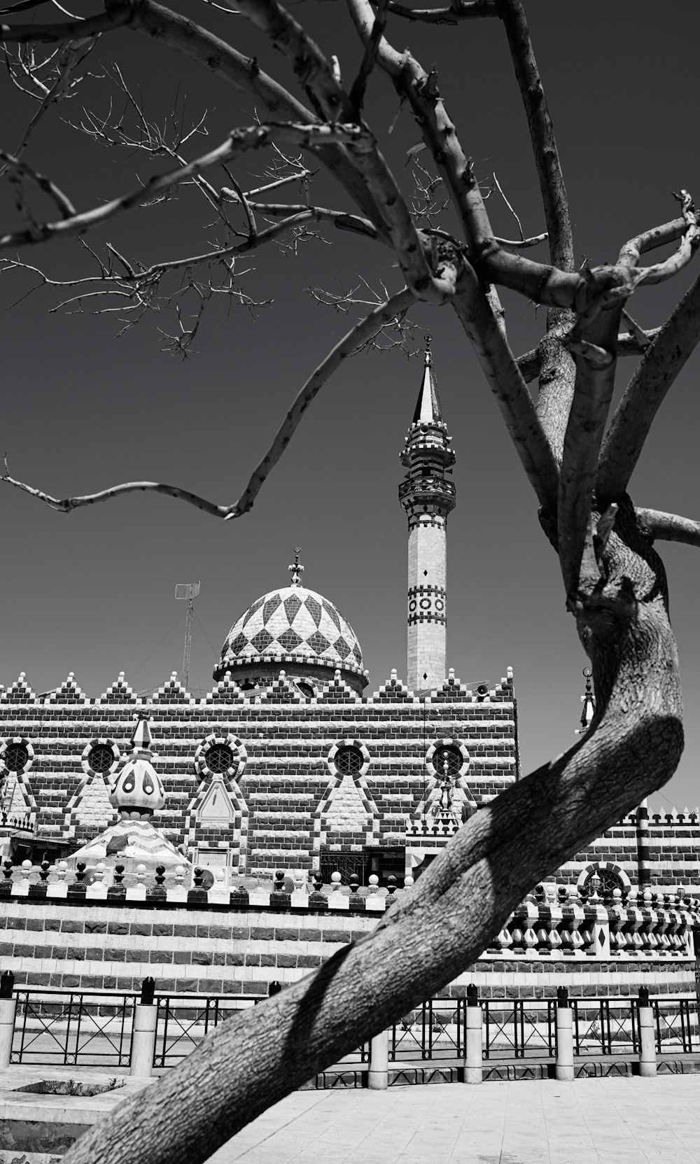 a tree with a building in the background