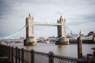 a bridge with towers over water