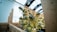 A cannabis plant is growing within a greenhouse environment, surrounded by wooden beams. The plant is densely packed with green and yellowish leaves and frosty buds, illuminated by natural light filtering through the greenhouse roof.