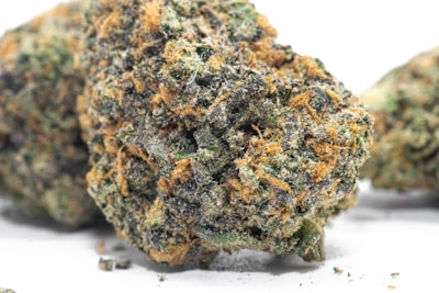 A close-up view of a cannabis bud with dense clusters of orange pistils intertwined with a range of green hues. The surface is frosty with trichomes, giving it a slightly glistening appearance.