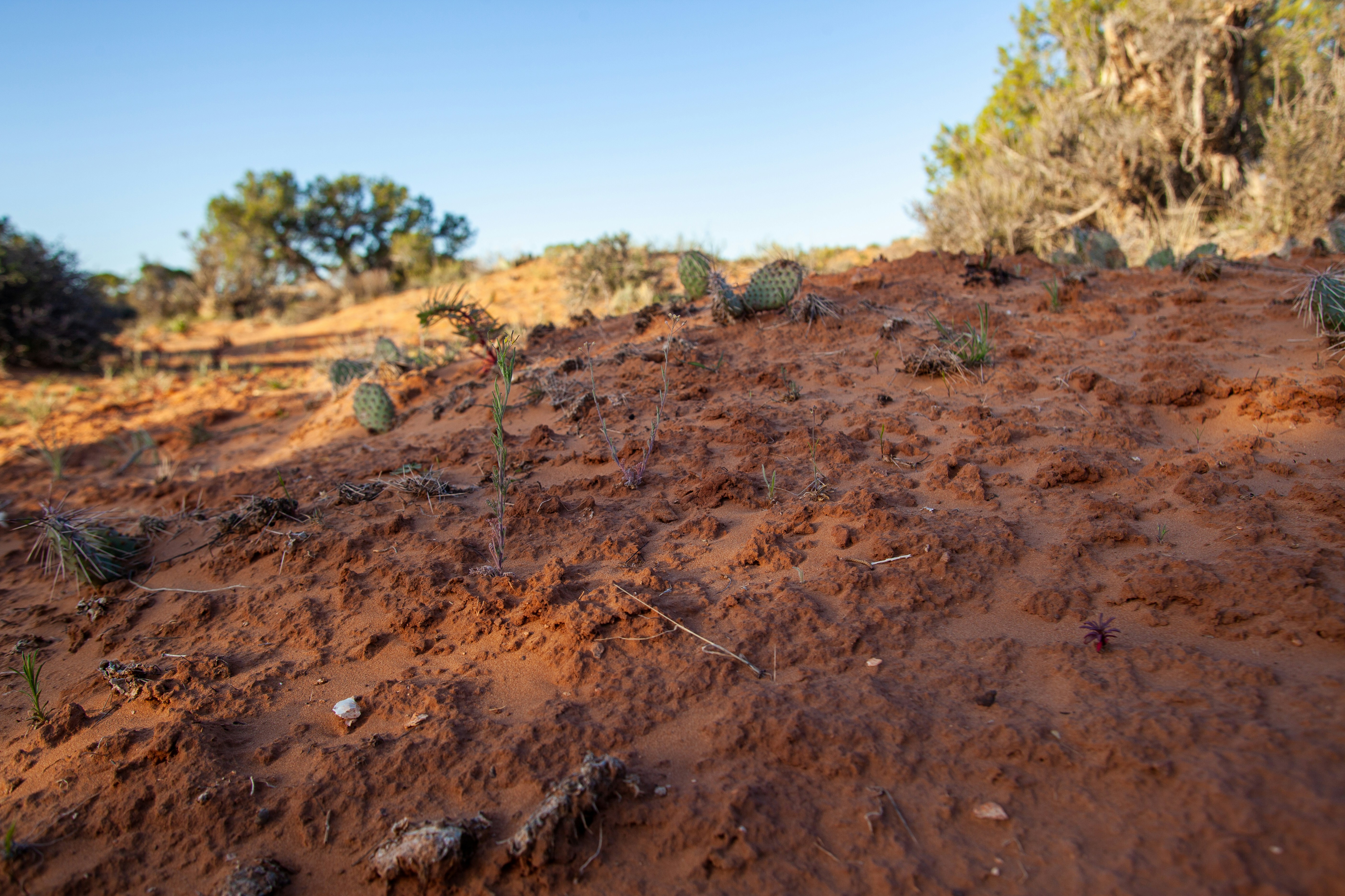 Photo by backroadpackers