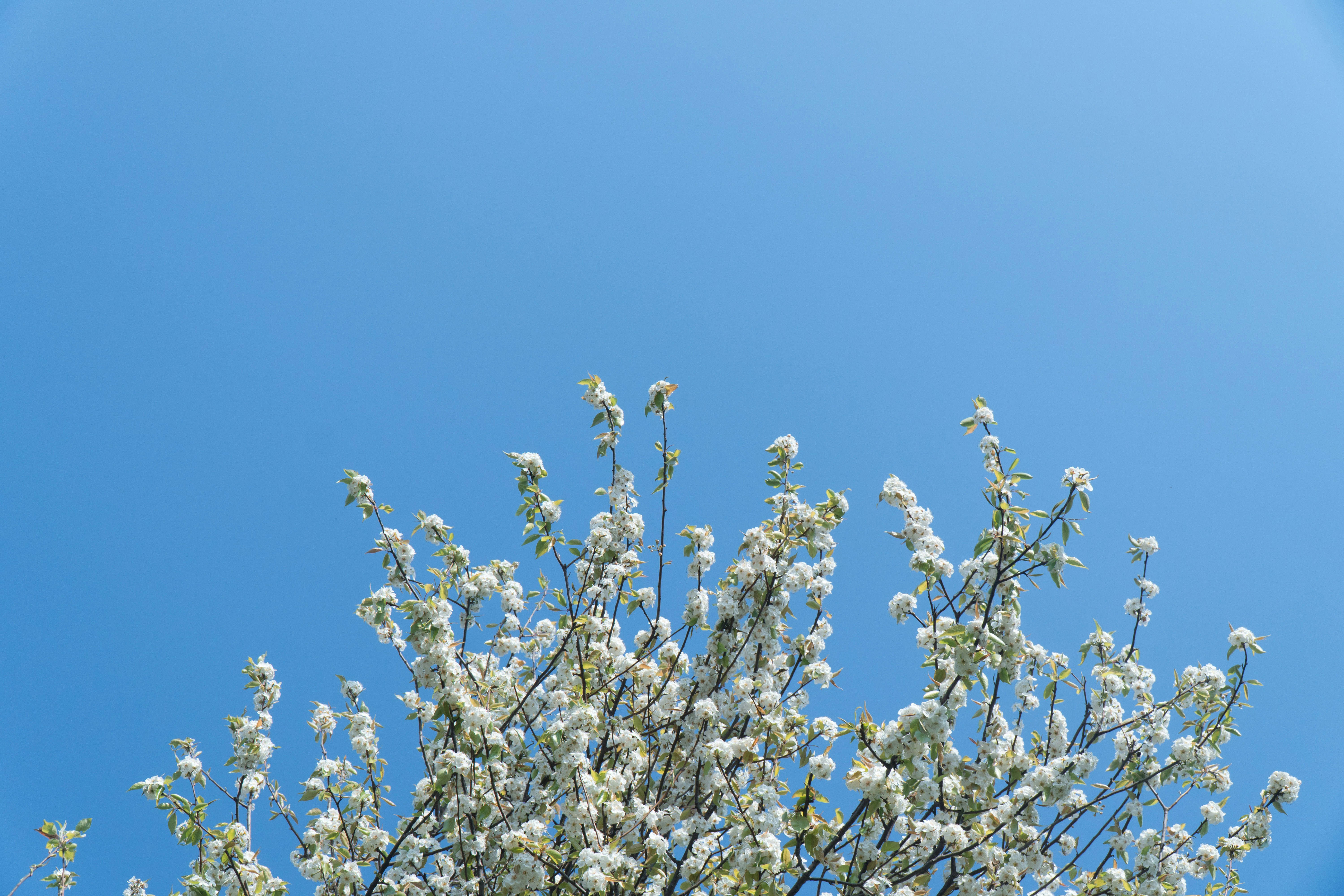 Photo by kadankapoor