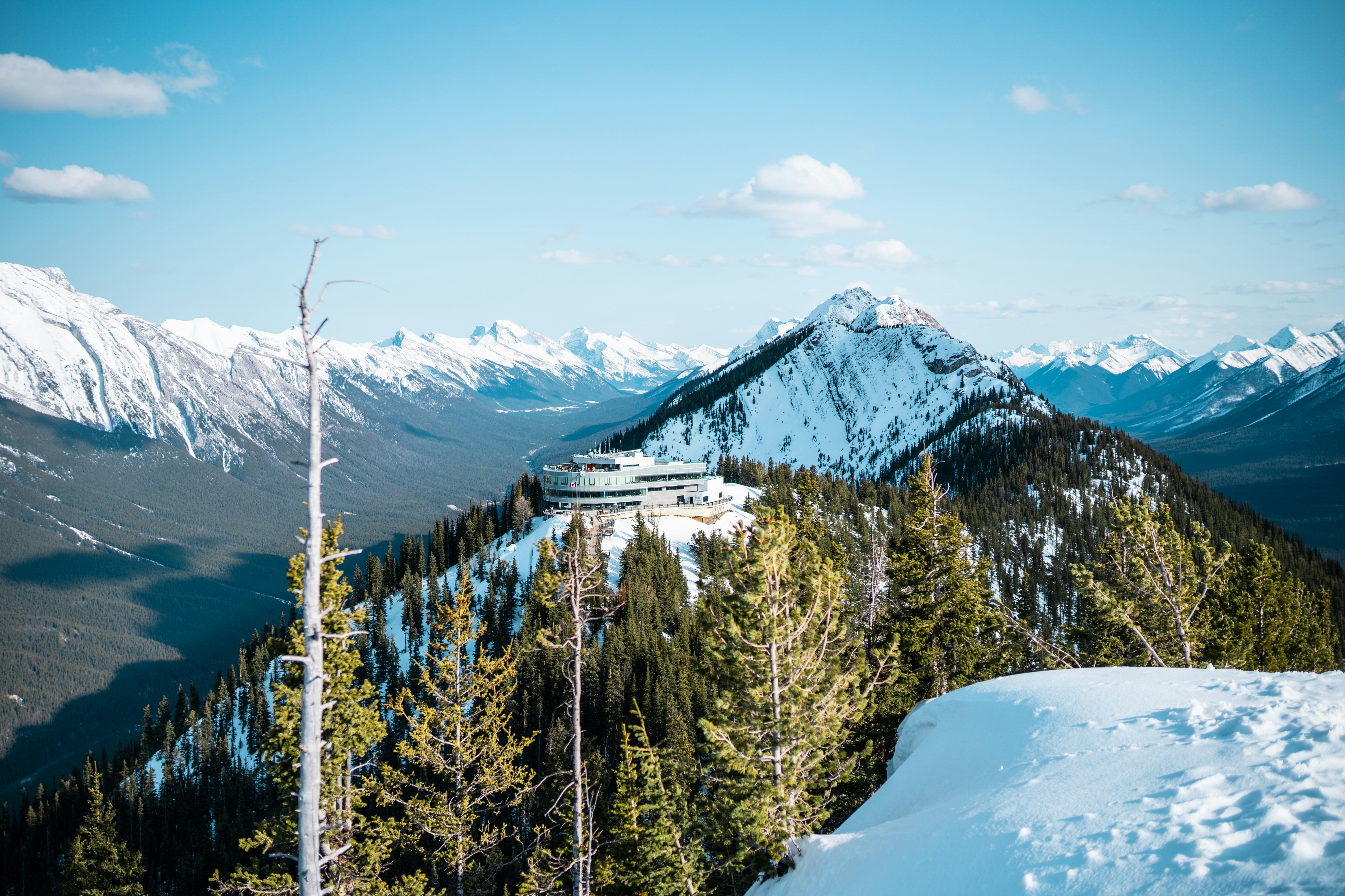 Photo by stuartdavies