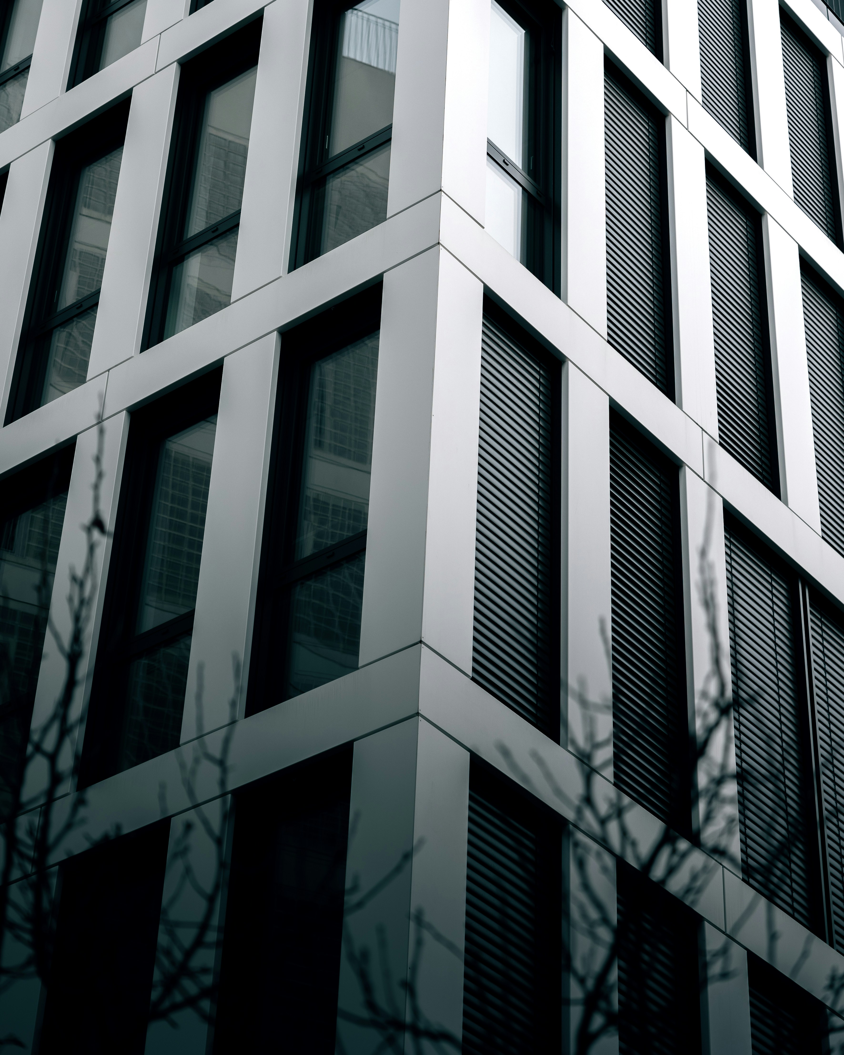 Photo by adamneumann