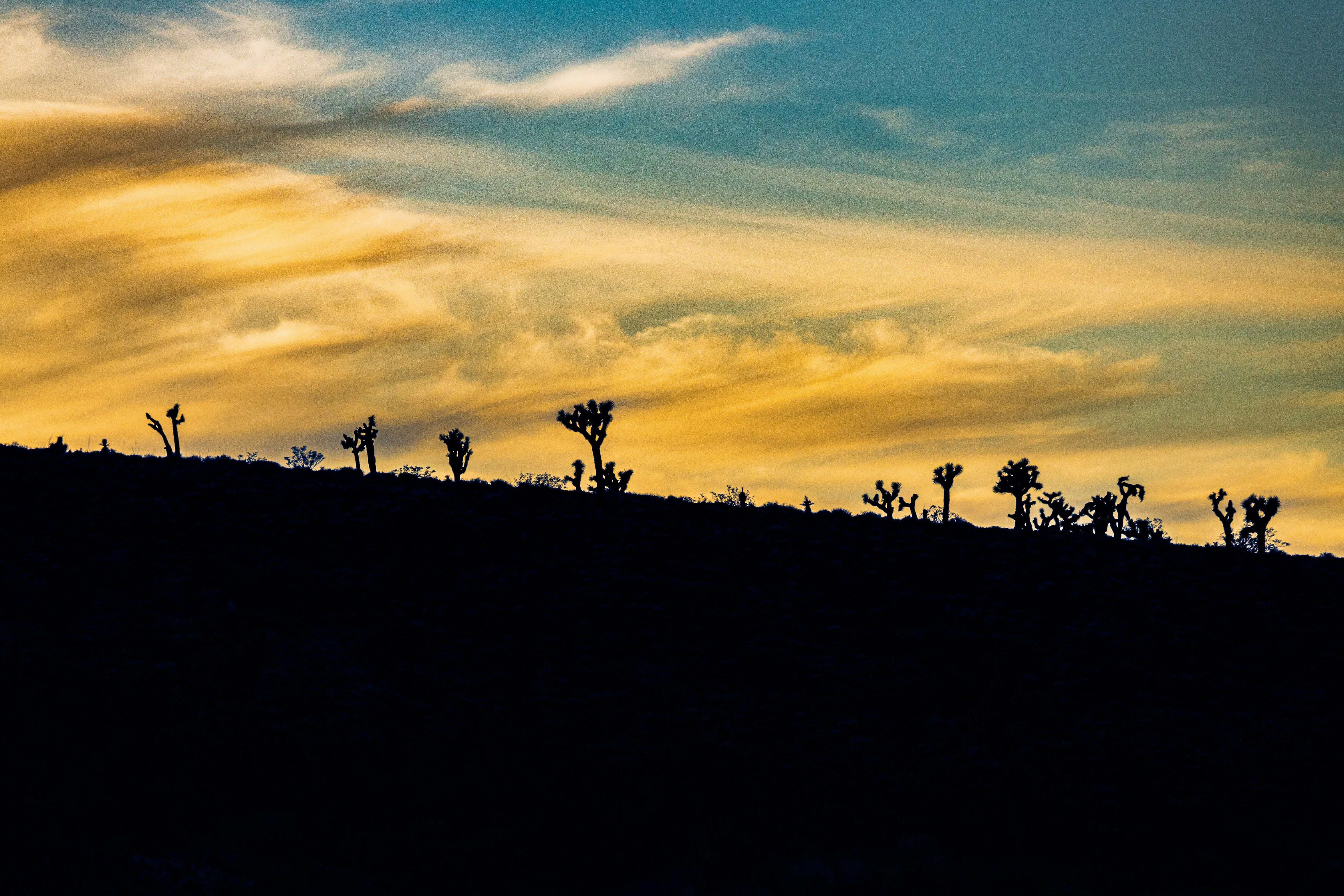 Photo by rs2photography