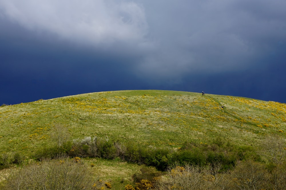 a grassy hill with a person walking on it