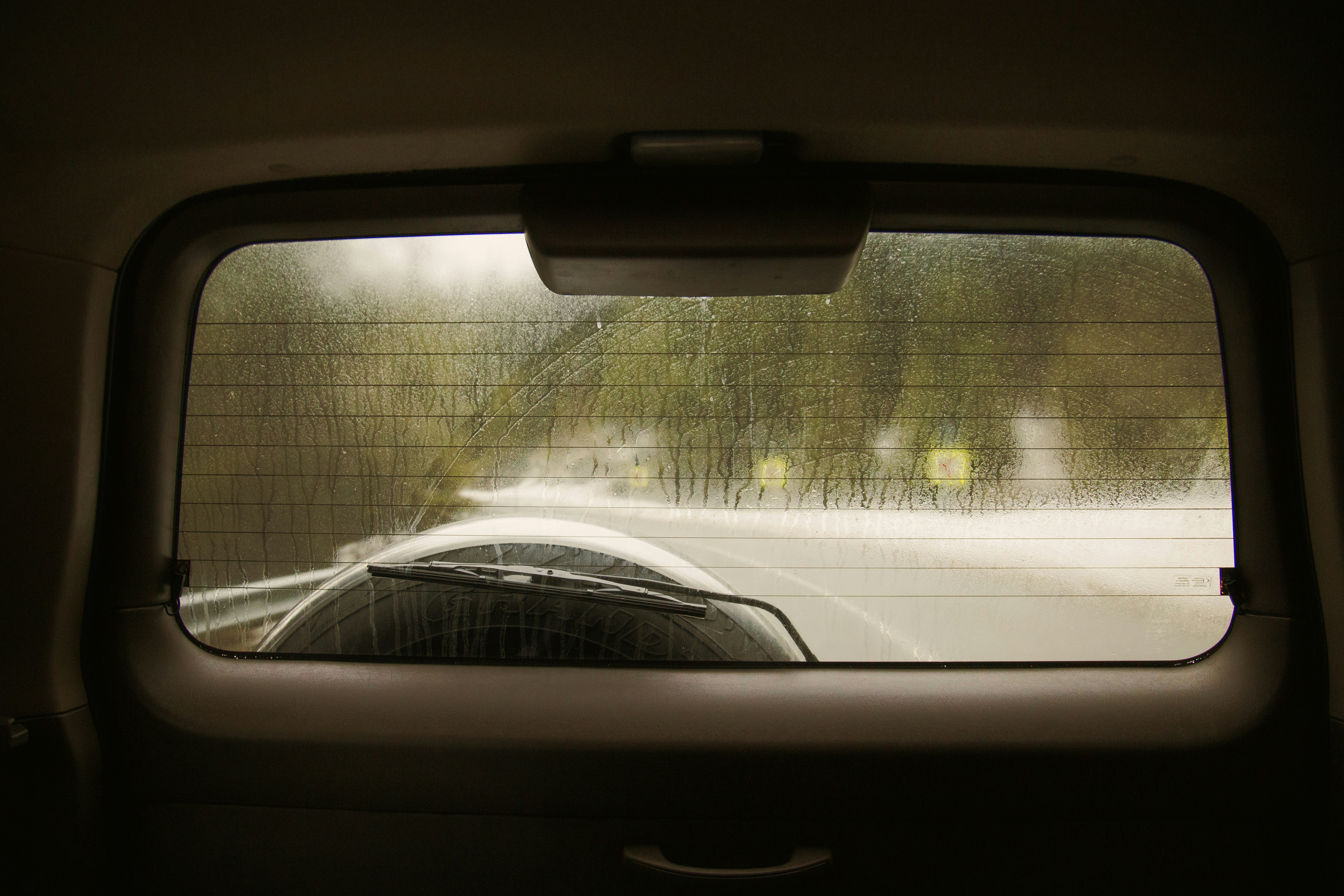 a car window with trees outside
