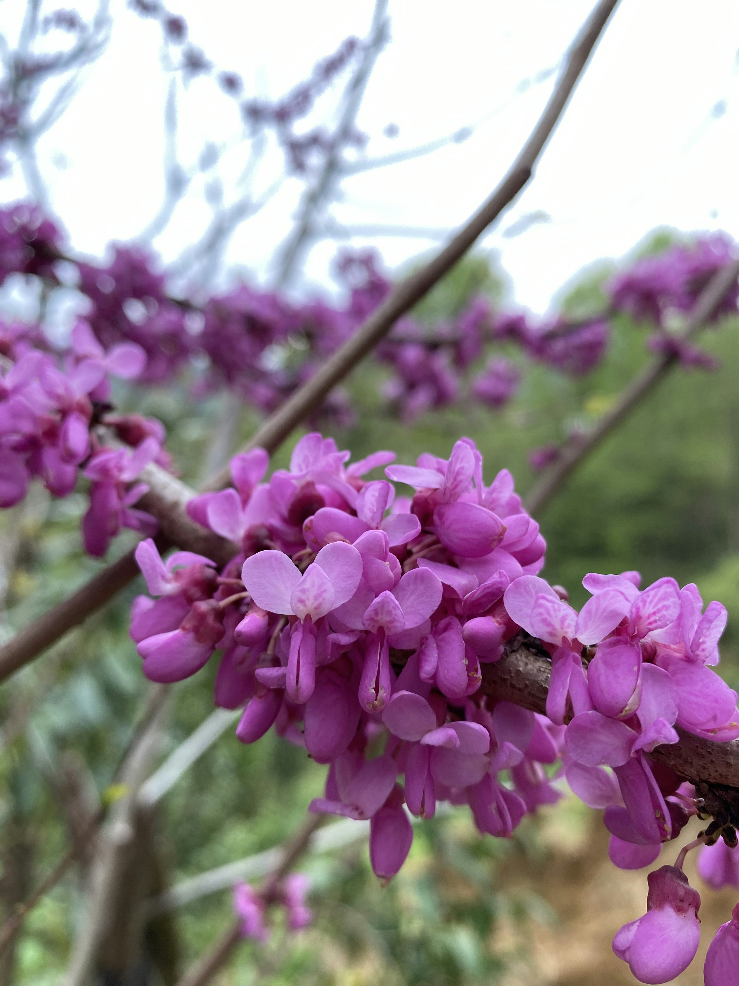 Photo by thallasophile