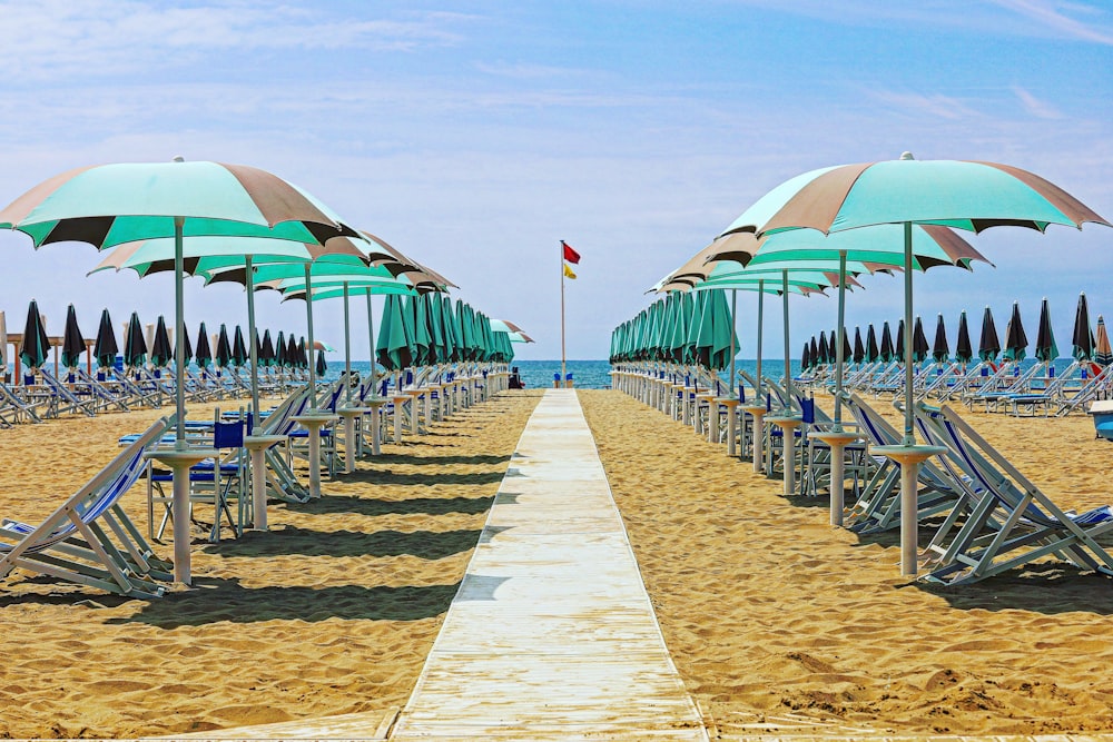 a beach with umbrellas