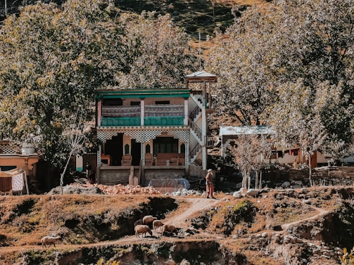 A two-story house with a balcony surrounded by large trees in a rural setting. A person stands near the path in front of the house, and a few sheep are grazing nearby. The area is filled with vegetation and earthy colors, creating a serene and natural environment.
