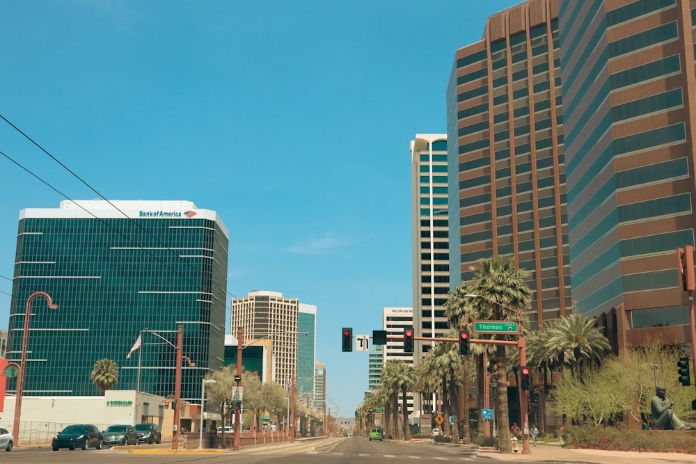 a street with palm trees and tall buildings