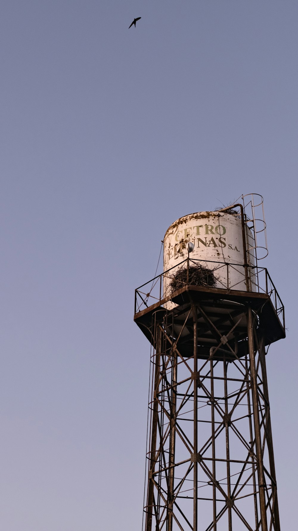 a bird flying over a water tower