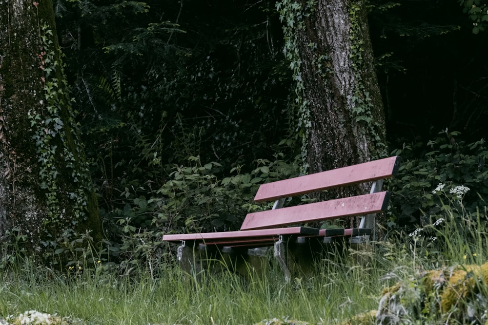 a red bench in the woods