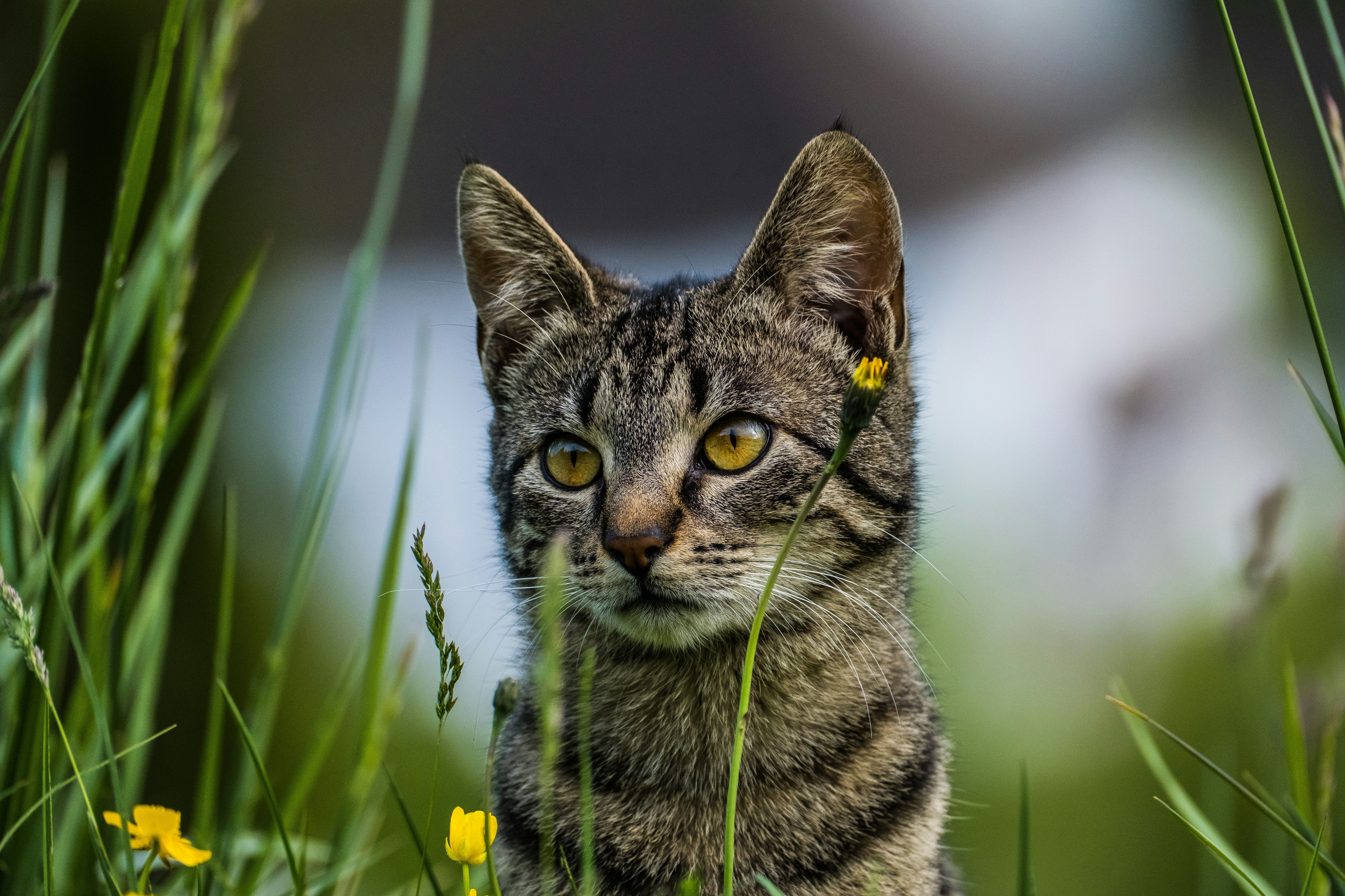 Photo by matthiasspeicher