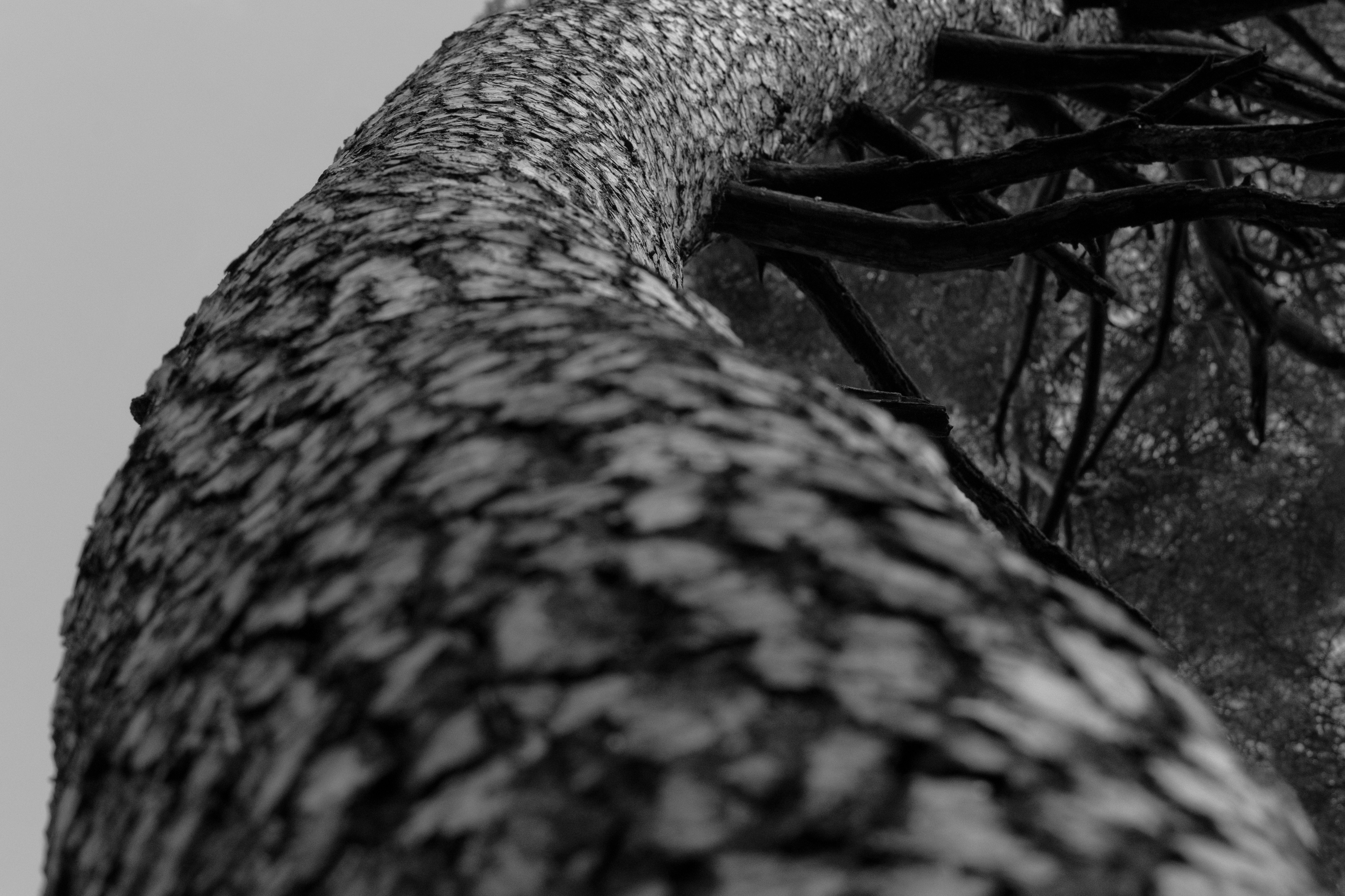 Photo by matthiasspeicher