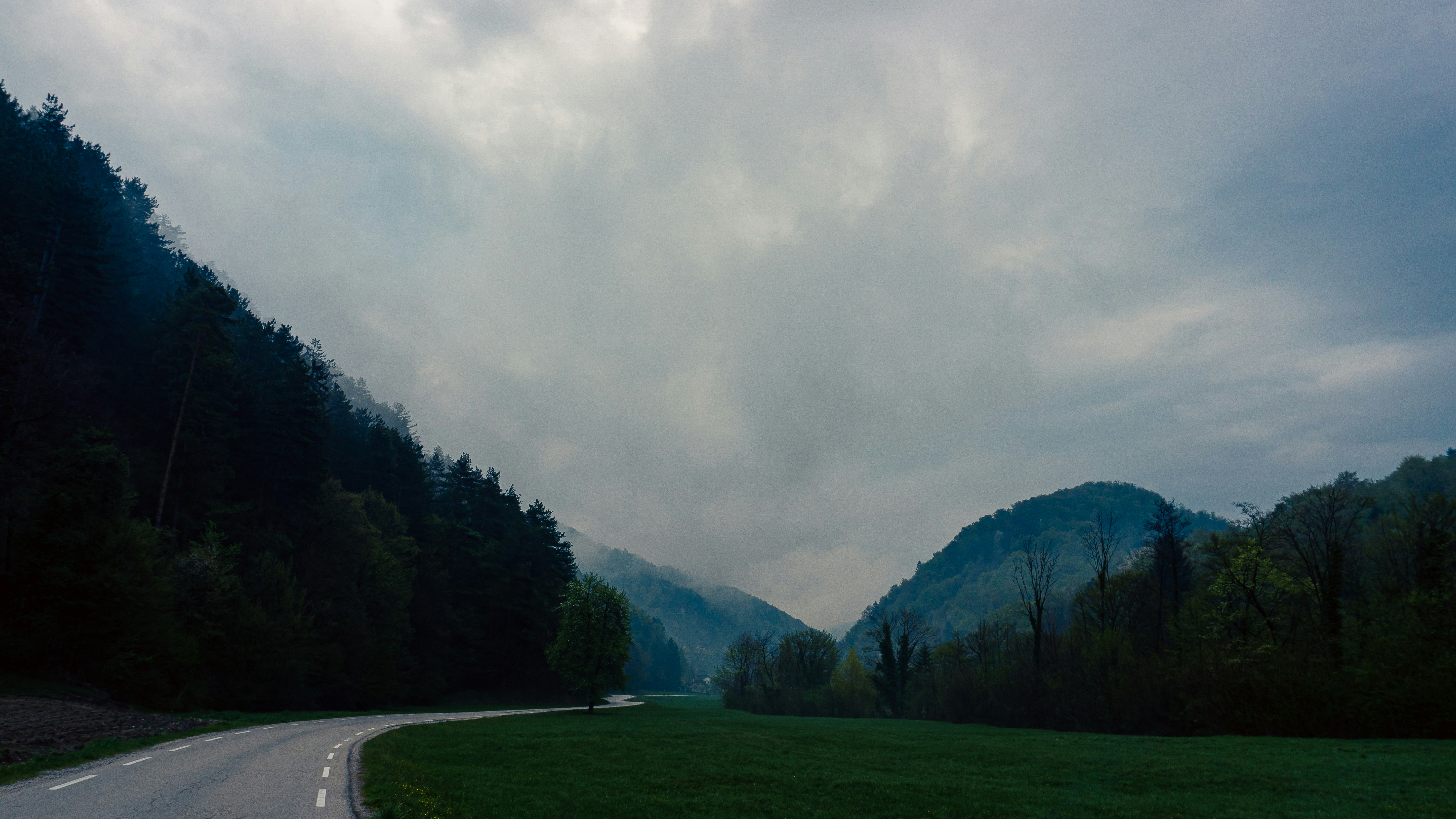 a road with trees and mountains in the background, 