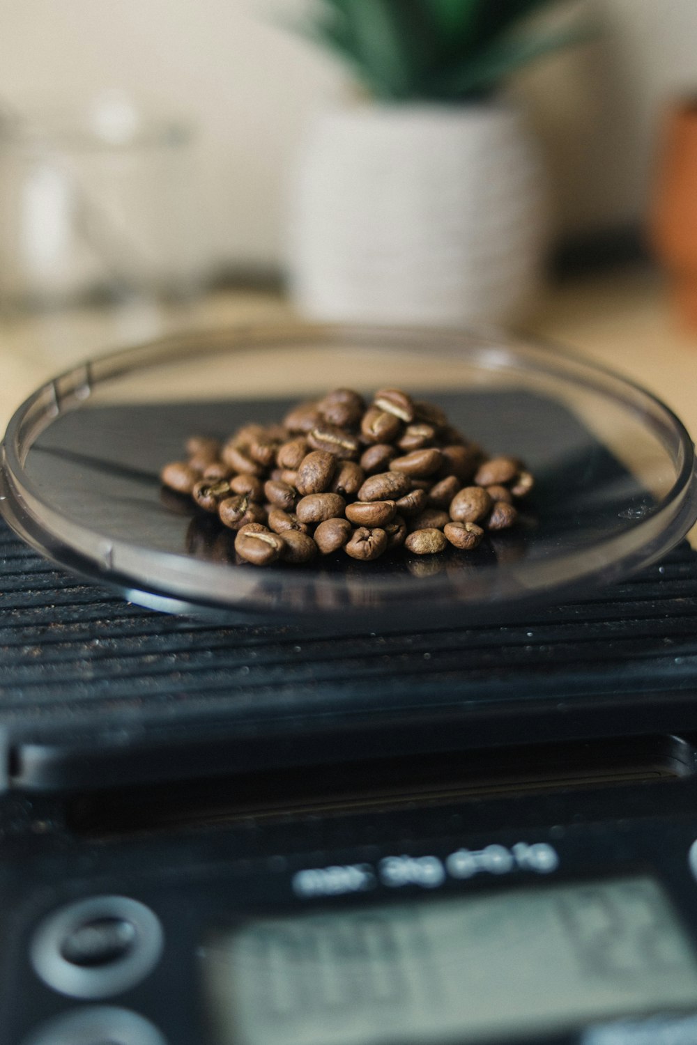 a bowl of coffee beans