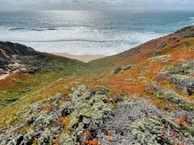 A vibrant garden that enhances the coastal lifestyle.